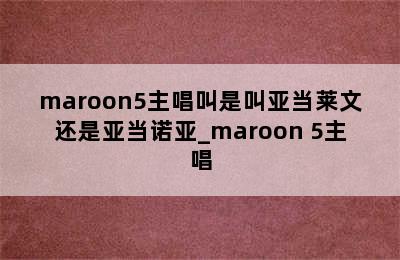 maroon5主唱叫是叫亚当莱文还是亚当诺亚_maroon 5主唱